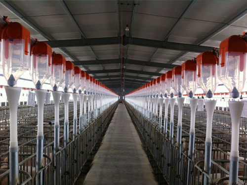 自動(dòng)喂料系統(tǒng) 自動(dòng)喂料系統(tǒng)