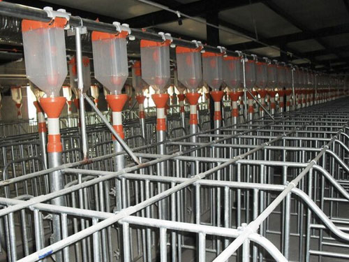 自動(dòng)喂料系統(tǒng) 自動(dòng)喂料系統(tǒng)