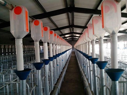 自動(dòng)喂料系統(tǒng) 自動(dòng)喂料系統(tǒng)