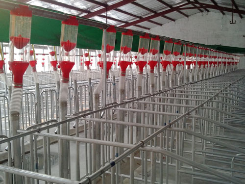 自動(dòng)喂料系統(tǒng) 自動(dòng)喂料系統(tǒng)