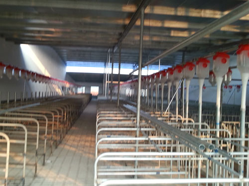 自動(dòng)喂料系統(tǒng) 自動(dòng)喂料系統(tǒng)