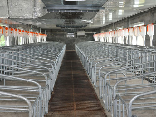 自動(dòng)喂料系統(tǒng) 自動(dòng)喂料系統(tǒng)