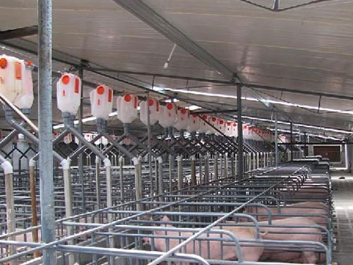 自動(dòng)喂料系統(tǒng) 自動(dòng)喂料系統(tǒng)