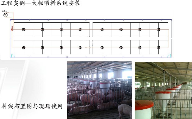 料線布置圖與現(xiàn)場(chǎng)使用