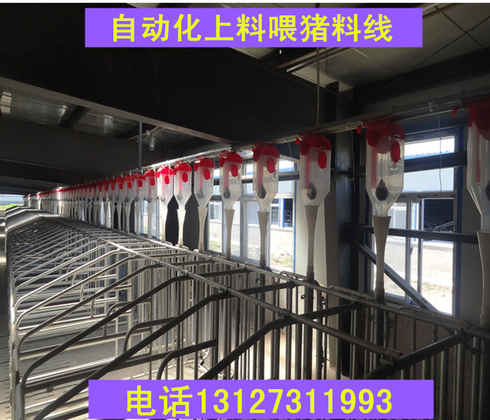 自動(dòng)化喂料系統(tǒng)