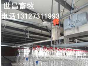 自動化料線專業(yè)設(shè)計(jì)