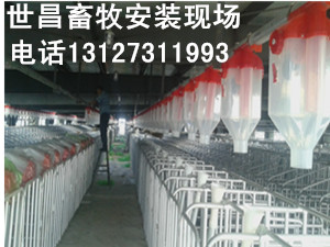 養(yǎng)豬自動化料線自動化上料設(shè)備