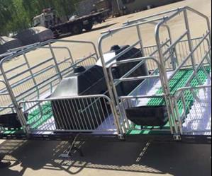 2022復(fù)合母豬產(chǎn)床