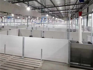 大型豬場自動化下料系統(tǒng)