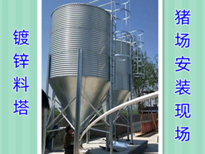 育肥豬舍儲(chǔ)料塔