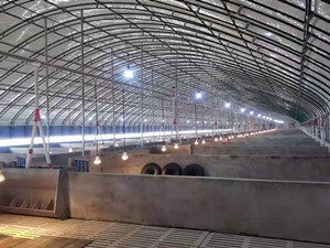 豬場新建安裝自動喂料線