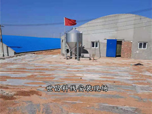 豬場(chǎng)料線料塔儲(chǔ)料罐