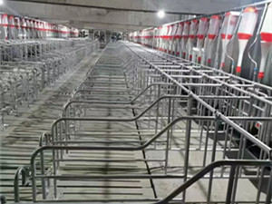 限位欄自動下料設(shè)備